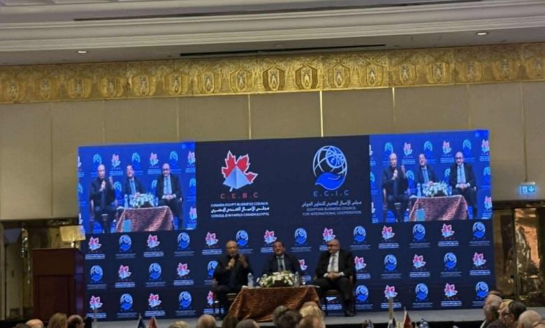 وزير المالية: رد ضريبة القيمة المضافة بلغ 7.5 مليار جنيه العام المالي الماضي