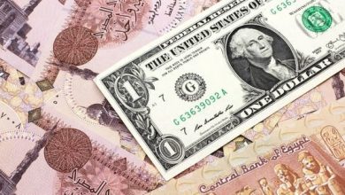 25 أغسطس 2025.. الدولار يعاود الارتفاع بين 7 و16 قرشا.. ويسجل 48.55 جنيه للبيع