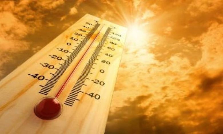 1300 وفاة نتيجة موجة حر شديدة ضربت البرتغال - أخبار السعودية