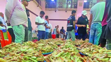 273 طن ربيان و300 طن أسماك من «المصيد»... دخلت سوقي شرق والفحيحيل في أغسطس