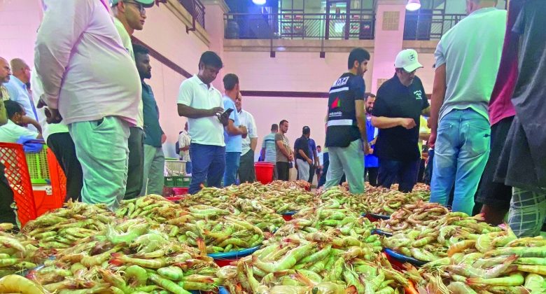 273 طن ربيان و300 طن أسماك من «المصيد»... دخلت سوقي شرق والفحيحيل في أغسطس