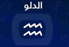 برج الدلو