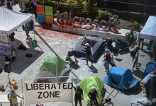 اقتحام مكتب رئيس شركة Microsoft على أيدي محتجين داعمين لفلسطين!