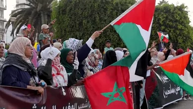 وقفة تضامن مع غزة