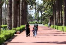حرارة فصل الصيف تكشف الحاجة إلى الفضاءات الخضراء في المدن المغربية