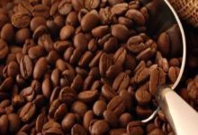 أزمة في سوق البن: ارتفاع 8% بالعقود الآجلة وتهديد لمحصول أرابيكا البرازيلي