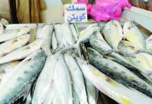 «اتحاد الصيادين»: ضرورة تنظيم المهنة وزيادة رقعة الصيد