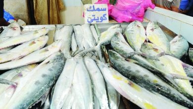 «اتحاد الصيادين»: ضرورة تنظيم المهنة وزيادة رقعة الصيد