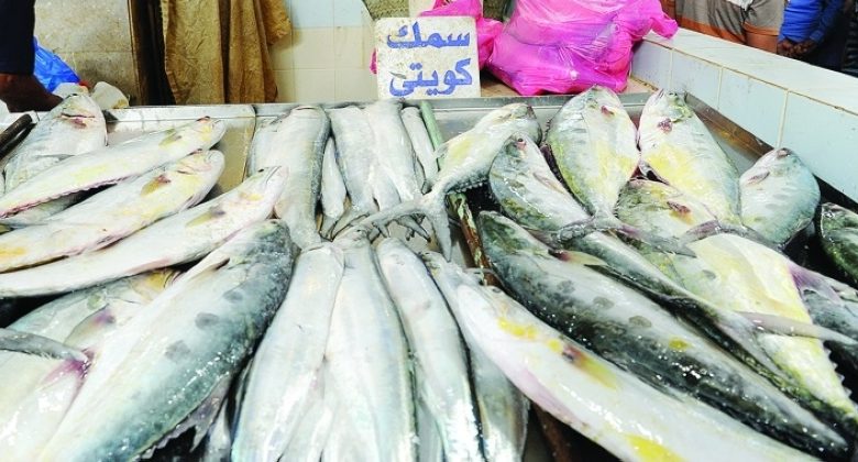 «اتحاد الصيادين»: ضرورة تنظيم المهنة وزيادة رقعة الصيد