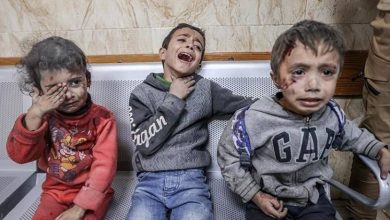 الاحتلال يقتل صفًا دراسيًا من أطفال غزة يوميًا وسط مجاعة وحصار خانق