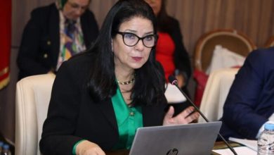 السغروشني تكشف مصير مليار درهم لتفعيل الطابع الرسمي للأمازيغية