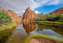 السياحة السعودية: سياسة العشرين ساعة تأتي انسجامًا مع المعايير العالمية