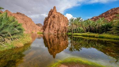 السياحة السعودية: سياسة العشرين ساعة تأتي انسجامًا مع المعايير العالمية