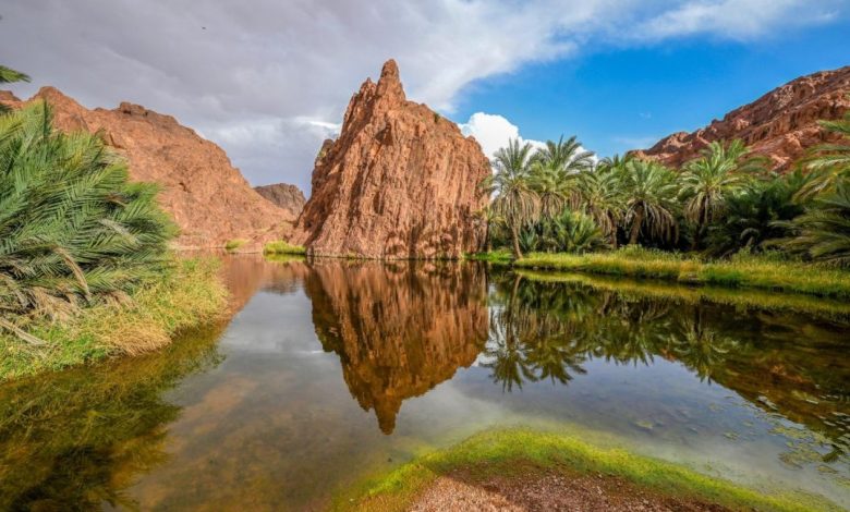 السياحة السعودية: سياسة العشرين ساعة تأتي انسجامًا مع المعايير العالمية