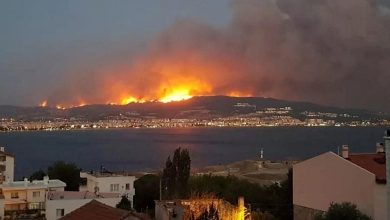 المغرب يواصل إخماد حريق غابة بمساحة 5 هكتارات