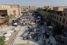 انخفاض معدلات المواليد في مصر بين الفرصة التنموية والمخاطر المحتملة