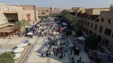 انخفاض معدلات المواليد في مصر بين الفرصة التنموية والمخاطر المحتملة
