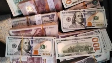 بني سويف.. مسعف وسائق يعثران على مليون ونصف جنيه بجوار مصابة في حادث مروري ويسلمانه بمحاضر رسمية