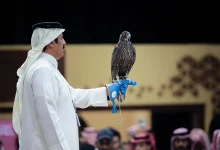 بيع صقرين بـ180 ألف ريال في الليلة الأولى لمنصة المزاد الدولي لمزارع إنتاج الصقور 2025