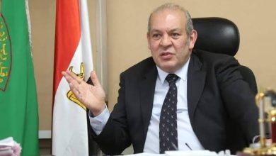 هشام عبد الحكم