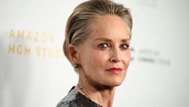 شارون ستون تُعلق على إعادة إنتاج Basic Instinct