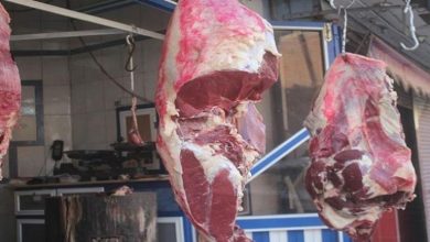 شعبة القصابين: انخفاض أسعار اللحوم 20%.. ونشكر الدولة على دعمها صغار المربين