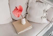 طرق استخدام النباتات الطبيعية الملونة في ديكور المنزل مهما كان طرازه