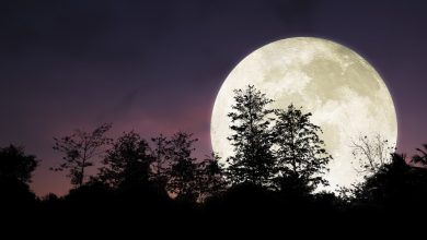 عبارات قصيرة عن الليل تدعوك للتأمل
