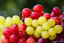 لماذا يعتبر العنب «فاكهة خارقة»؟