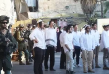 مستوطنون يقطعون أشجارًا ويعتدون على الفلسطينيين واقتحامات واسعة لجيش الاحتلال