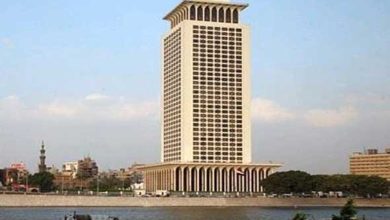 مصر تدعو لتدخل دولي عاجل لوقف الكارثة الإنسانية في غزة