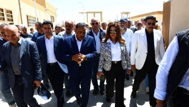من تطوير الكوربة لافتتاح مجزر الحمام.. أبرز فعاليات التنمية المحلية في أسبوع