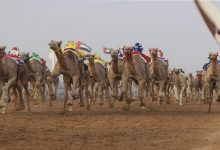 "هملولة" تفتتح انتصارات اليوم الثاني لمهرجان العين لسباقات الهجن
