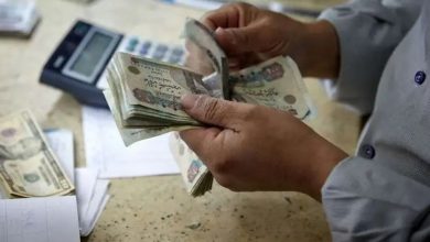 وزارة العمل تعلن مواعيد صرف المعاشات التقاعدية العراقية للعمال المصريين