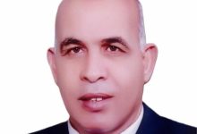 وزير التعليم العالي يكلف الدكتور إسماعيل القن قائما بأعمال رئيس جامعة كفر الشيخ