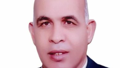 وزير التعليم العالي يكلف الدكتور إسماعيل القن قائما بأعمال رئيس جامعة كفر الشيخ