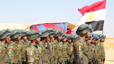 وزير الدفاع المصري يطالب الجيش بأعلى مستويات الجاهزية القتالية