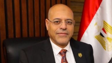 وزير العمل: لن نسمح بعامل أجنبي بلا تصريح.. وسنطبق قانون العمل بكل حذافيره