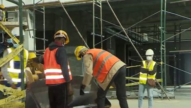 وزير العمل: نعمل على فتح مجالات الوظائف بالخارج أمام الشباب
