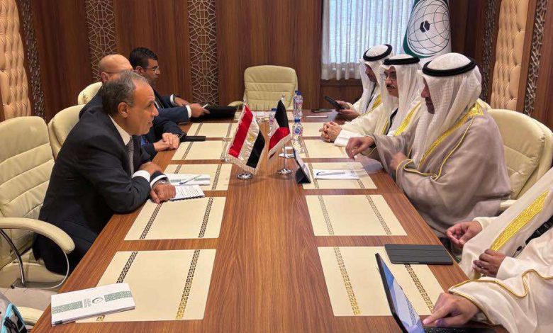 وزيرا خارجية مصر والكويت يبحثان سبل تعزيز العلاقات الثنائية والتطورات الإقليمية