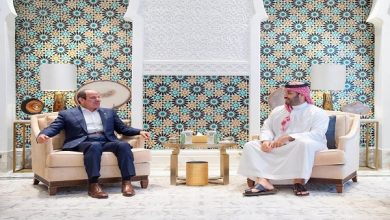 ولي العهد السعودي يبحث عدداً من الموضوعات الإقليمية والدولية مع الرئيس المصري