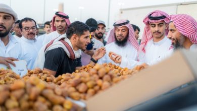 تمور القصيم نافذة إلى أسواق العالم.. الإيرادات تخطت 3.2 مليار ريال