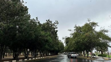 «الأرصاد»: أمطار غزيرة على منطقة نجران