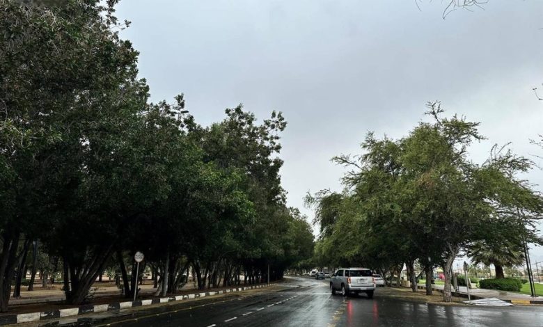 «الأرصاد»: أمطار غزيرة على منطقة نجران