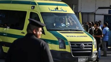 جريمة مروعة في الإسكندرية.. أب يطعن طفلتيه وينتحر