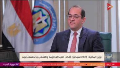 وزير المالية