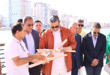 محافظ دمياط