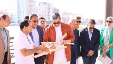 محافظ دمياط