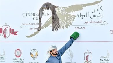 "نادي أبوظبي للصقارين" ينظم 9 بطولات في الموسم الجديد