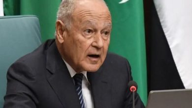 أبو الغيط أمام مجلس الأمن: حان وقت اتخاذ القرار الصائب أخلاقيا بوقف حرب غزة